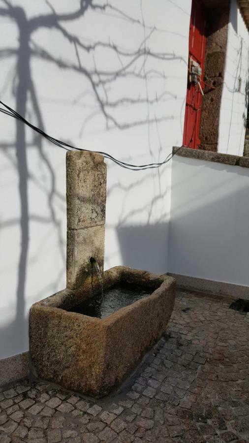 Casa Dos Namorados Vale de Cambra Exteriör bild